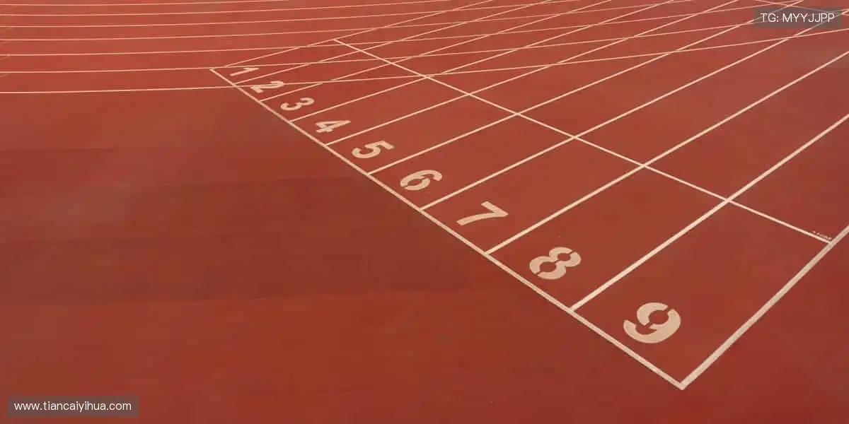 🏀 挑战极限,每一球都值得欢呼!