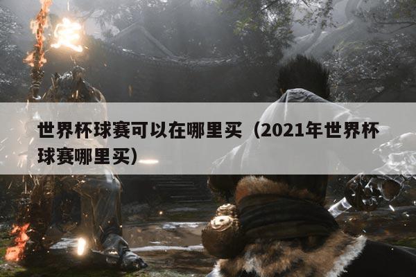 世界杯球赛可以在哪里买（2021年世界杯球赛哪里买）