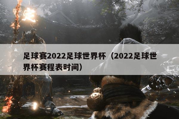 足球赛2022足球世界杯（2022足球世界杯赛程表时间）