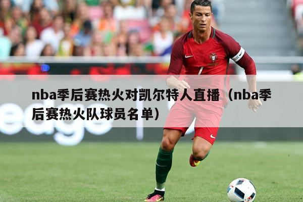 nba季后赛热火对凯尔特人直播（nba季后赛热火队球员名单）