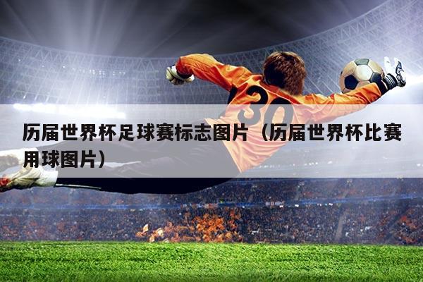 历届世界杯足球赛标志图片(历届世界杯比赛用球图片)