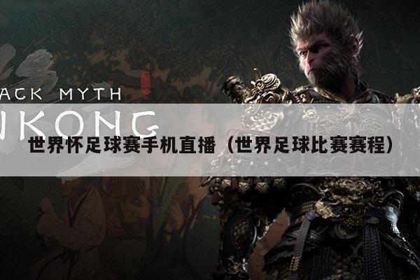 世界怀足球赛手机直播（世界足球比赛赛程）