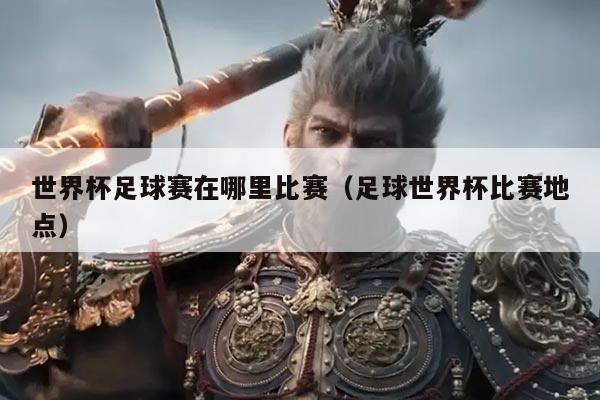 世界杯足球赛在哪里比赛（足球世界杯比赛地点）