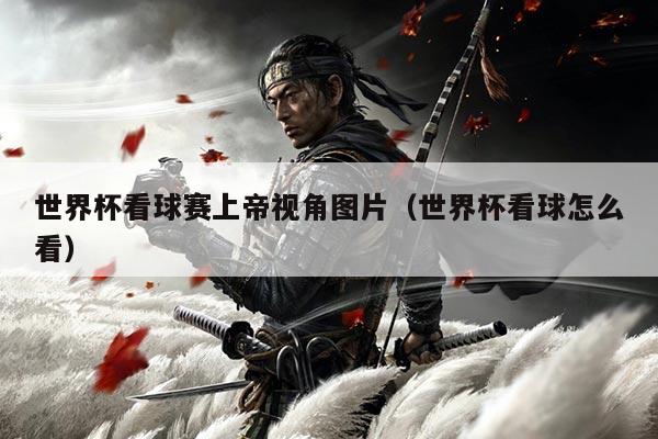 世界杯看球赛上帝视角图片（世界杯看球怎么看）
