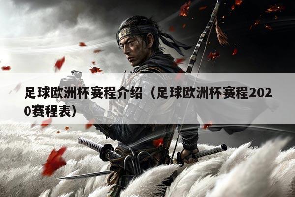 足球欧洲杯赛程介绍(足球欧洲杯赛程2020赛程表)
