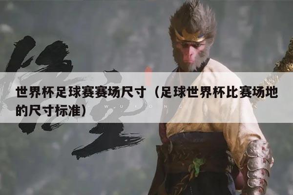 世界杯足球赛赛场尺寸（足球世界杯比赛场地的尺寸标准）