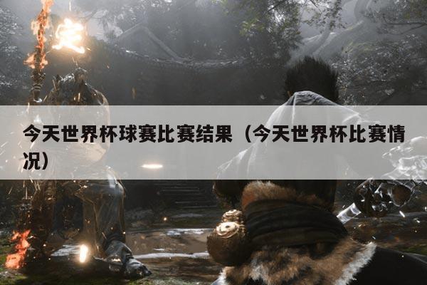 今天世界杯球赛比赛结果（今天世界杯比赛情况）