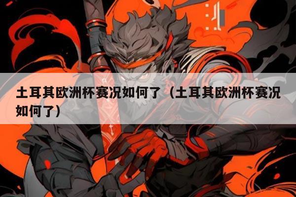 土耳其欧洲杯赛况如何了（土耳其欧洲杯赛况如何了）