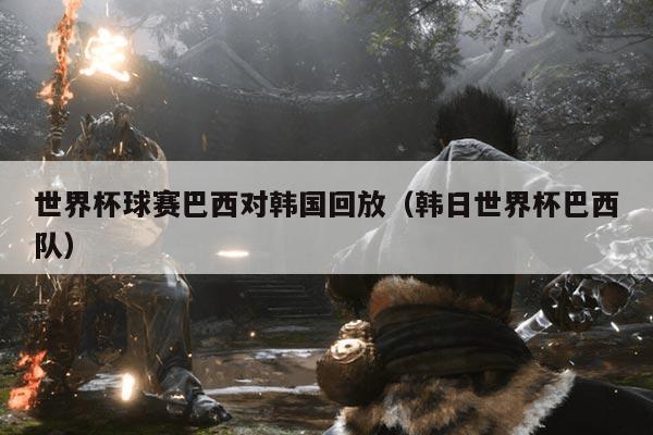 世界杯球赛巴西对韩国回放（韩日世界杯巴西队）