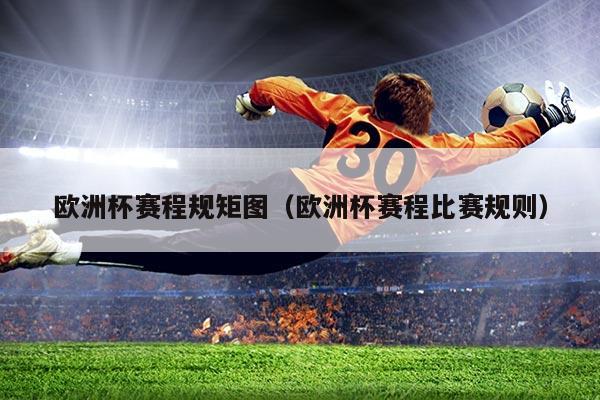 欧洲杯赛程规矩图（欧洲杯赛程比赛规则）