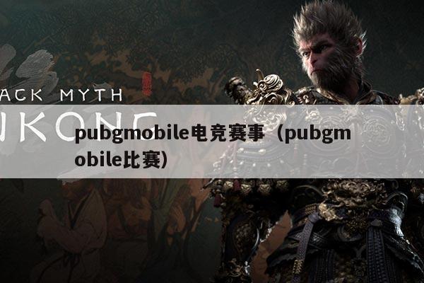 pubgmobile电竞赛事（pubgmobile比赛）