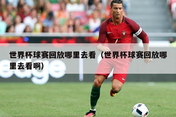 世界杯球赛回放哪里去看（世界杯球赛回放哪里去看啊）