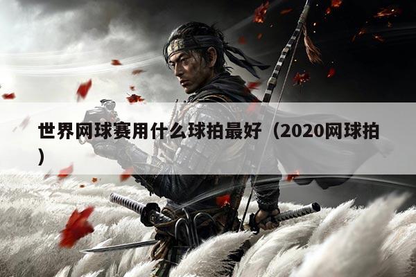 世界网球赛用什么球拍最好(2020网球拍)