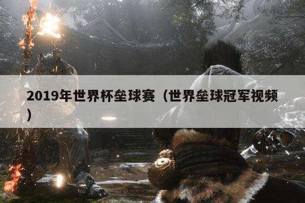 2019年世界杯垒球赛(世界垒球冠军视频)