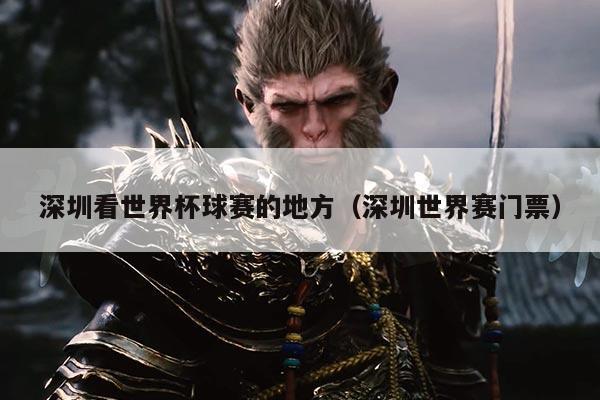 深圳看世界杯球赛的地方（深圳世界赛门票）