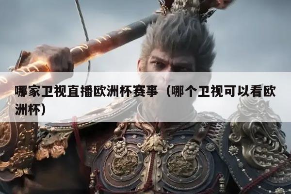 哪家卫视直播欧洲杯赛事（哪个卫视可以看欧洲杯）