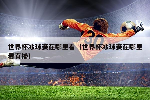 世界杯冰球赛在哪里看（世界杯冰球赛在哪里看直播）