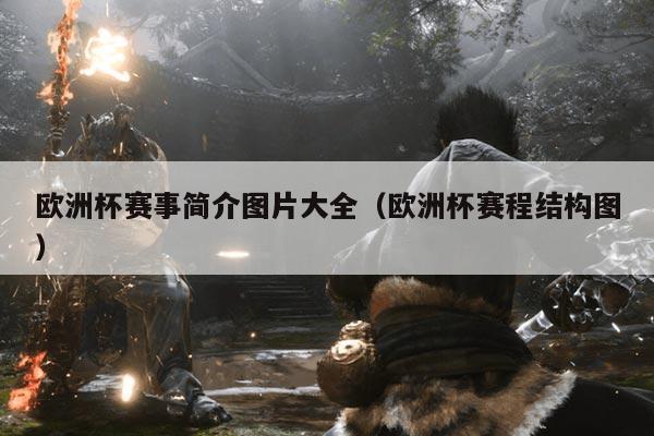 欧洲杯赛事简介图片大全（欧洲杯赛程结构图）