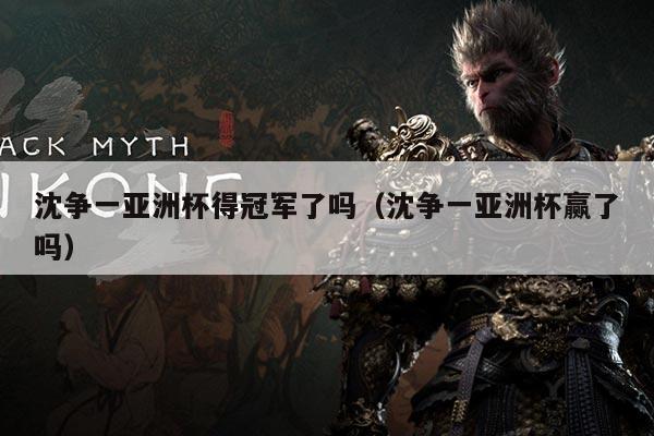 沈争一亚洲杯得冠军了吗（沈争一亚洲杯赢了吗）