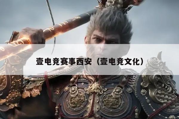 壹电竞赛事西安（壹电竞文化）