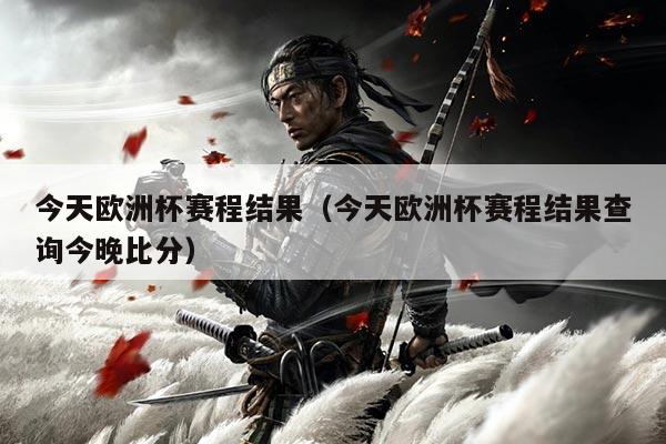 今天欧洲杯赛程结果(今天欧洲杯赛程结果查询今晚比分)