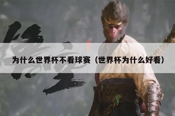 为什么世界杯不看球赛(世界杯为什么好看)