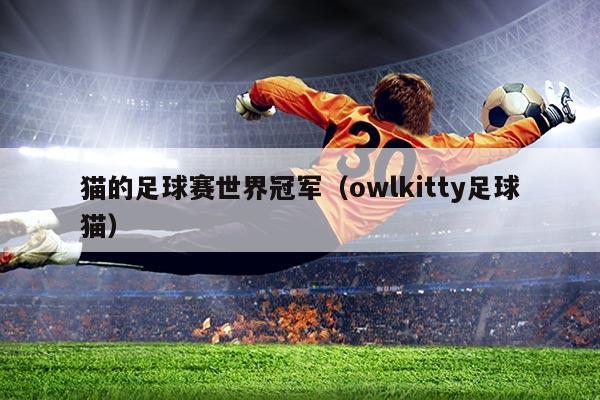 猫的足球赛世界冠军(owlkitty足球猫)