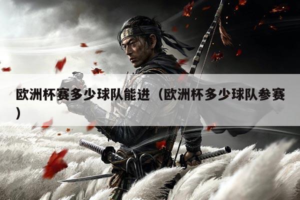 欧洲杯赛多少球队能进(欧洲杯多少球队参赛)