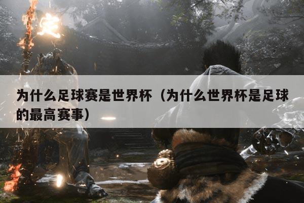 为什么足球赛是世界杯(为什么世界杯是足球的最高赛事)