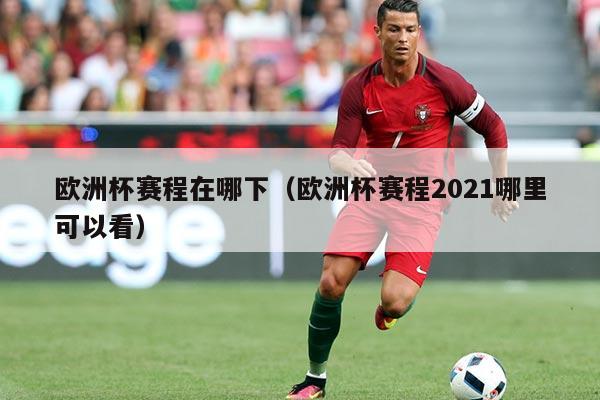 欧洲杯赛程在哪下(欧洲杯赛程2021哪里可以看)