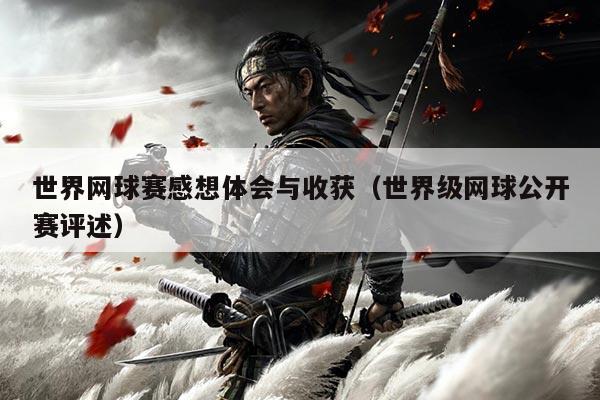 世界网球赛感想体会与收获（世界级网球公开赛评述）