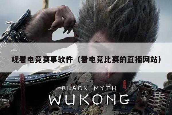 观看电竞赛事软件(看电竞比赛的直播网站)