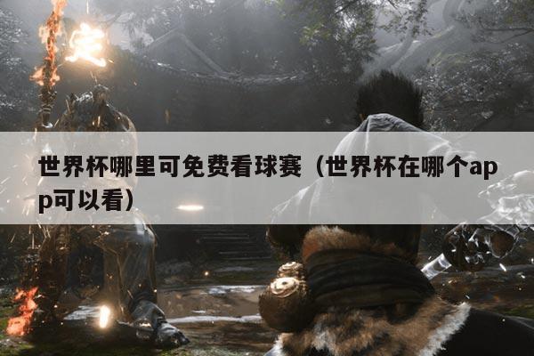 世界杯哪里可免费看球赛（世界杯在哪个app可以看）