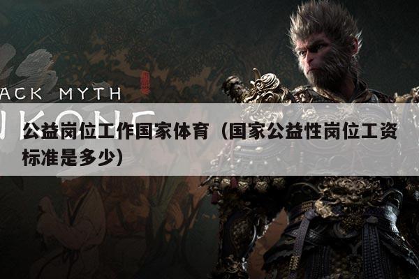 公益岗位工作国家体育（国家公益性岗位工资标准是多少）
