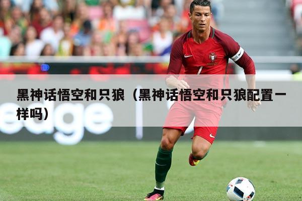 黑神话悟空和只狼（黑神话悟空和只狼配置一样吗）