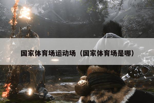 国家体育场运动场（国家体育场是哪）