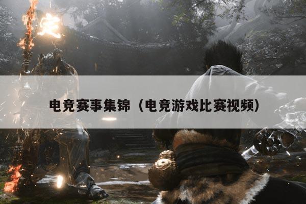 电竞赛事集锦(电竞游戏比赛视频)