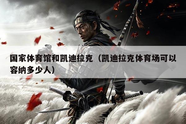 国家体育馆和凯迪拉克(凯迪拉克体育场可以容纳多少人)