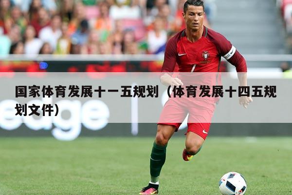国家体育发展十一五规划(体育发展十四五规划文件)