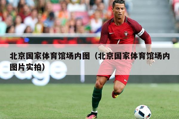 北京国家体育馆场内图（北京国家体育馆场内图片实拍）