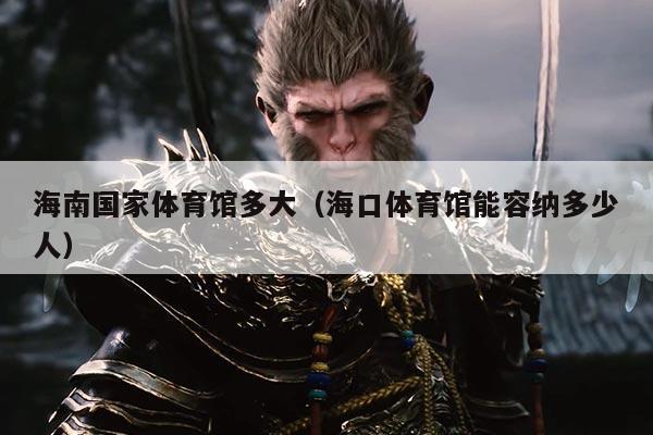 海南国家体育馆多大(海口体育馆能容纳多少人)