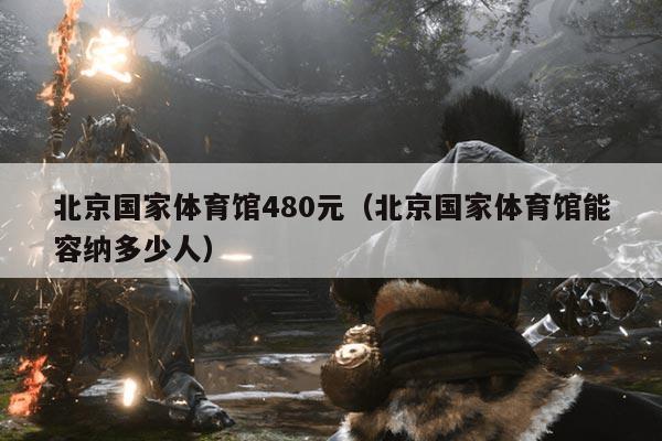 北京国家体育馆480元（北京国家体育馆能容纳多少人）