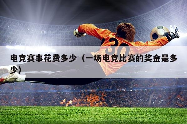 电竞赛事花费多少(一场电竞比赛的奖金是多少)