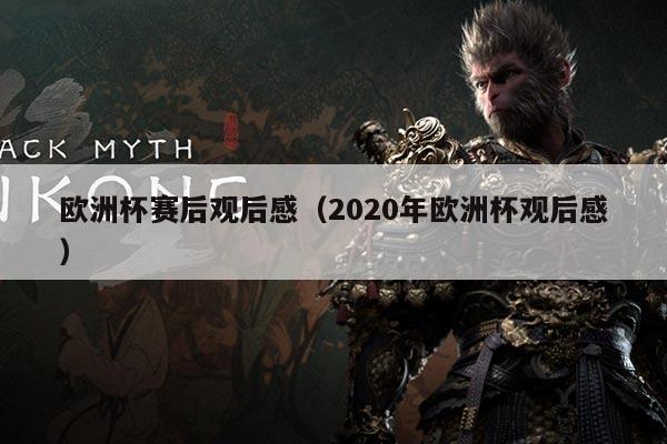 欧洲杯赛后观后感（2020年欧洲杯观后感）