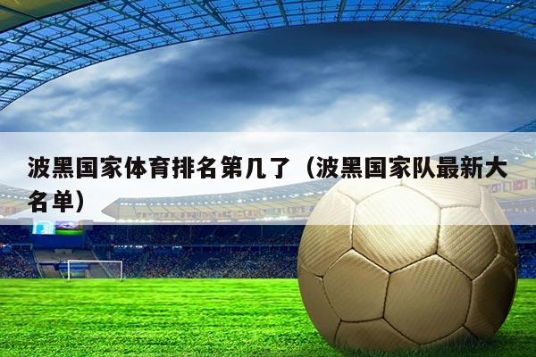 波黑国家体育排名第几了(波黑国家队最新大名单)