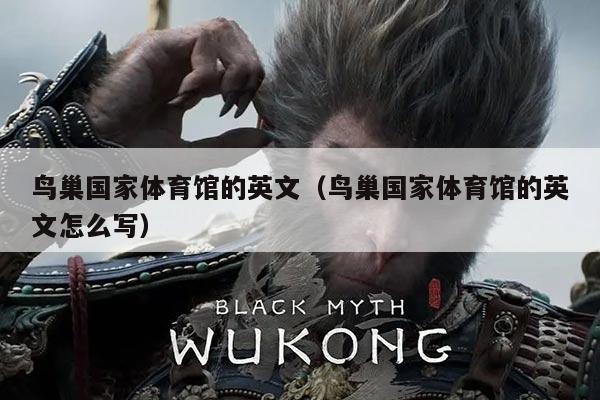 鸟巢国家体育馆的英文(鸟巢国家体育馆的英文怎么写)