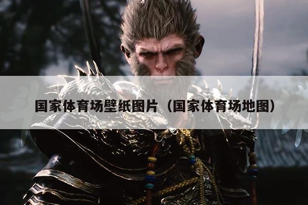 国家体育场壁纸图片（国家体育场地图）