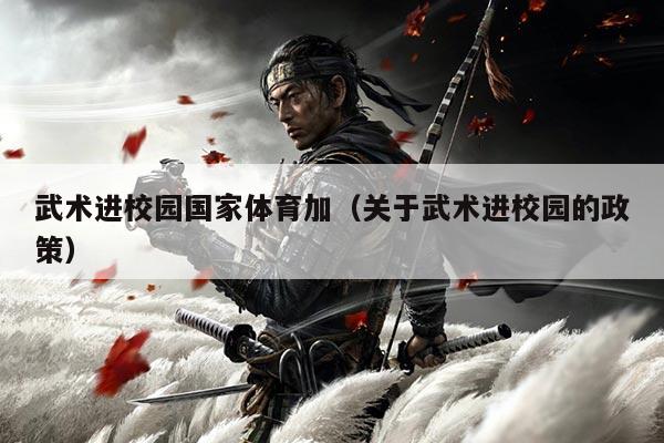 武术进校园国家体育加（关于武术进校园的政策）