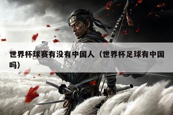 世界杯球赛有没有中国人（世界杯足球有中国吗）