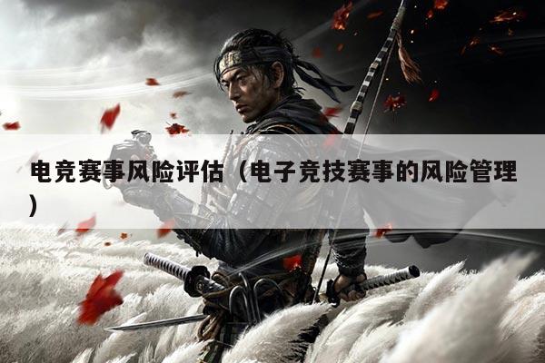 电竞赛事风险评估（电子竞技赛事的风险管理）